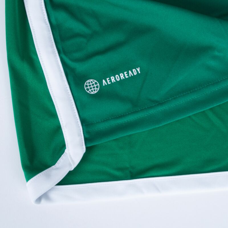 Algeria Away Jersey 2022-2023