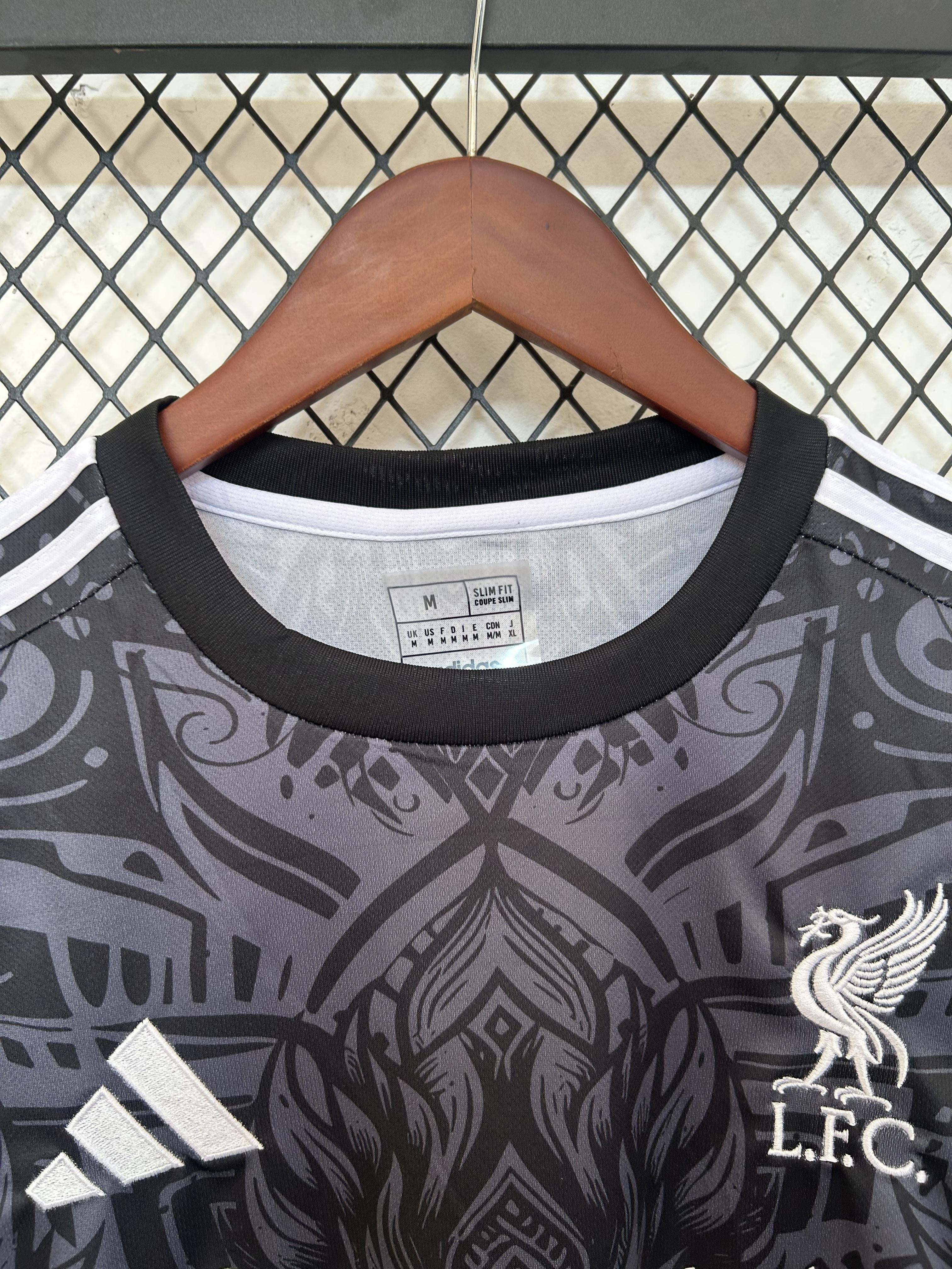 Liverpool purple Eagle Phoenix Special Kit