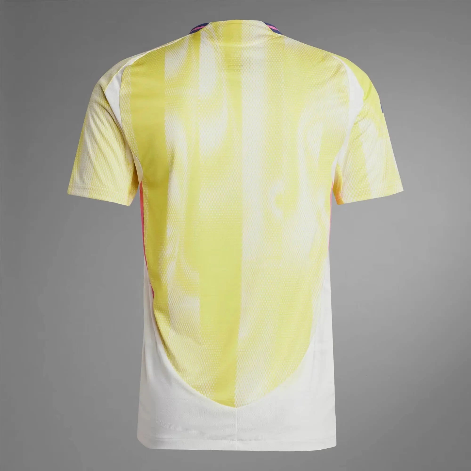 Juventus 2024-25 Men's Away Jersey