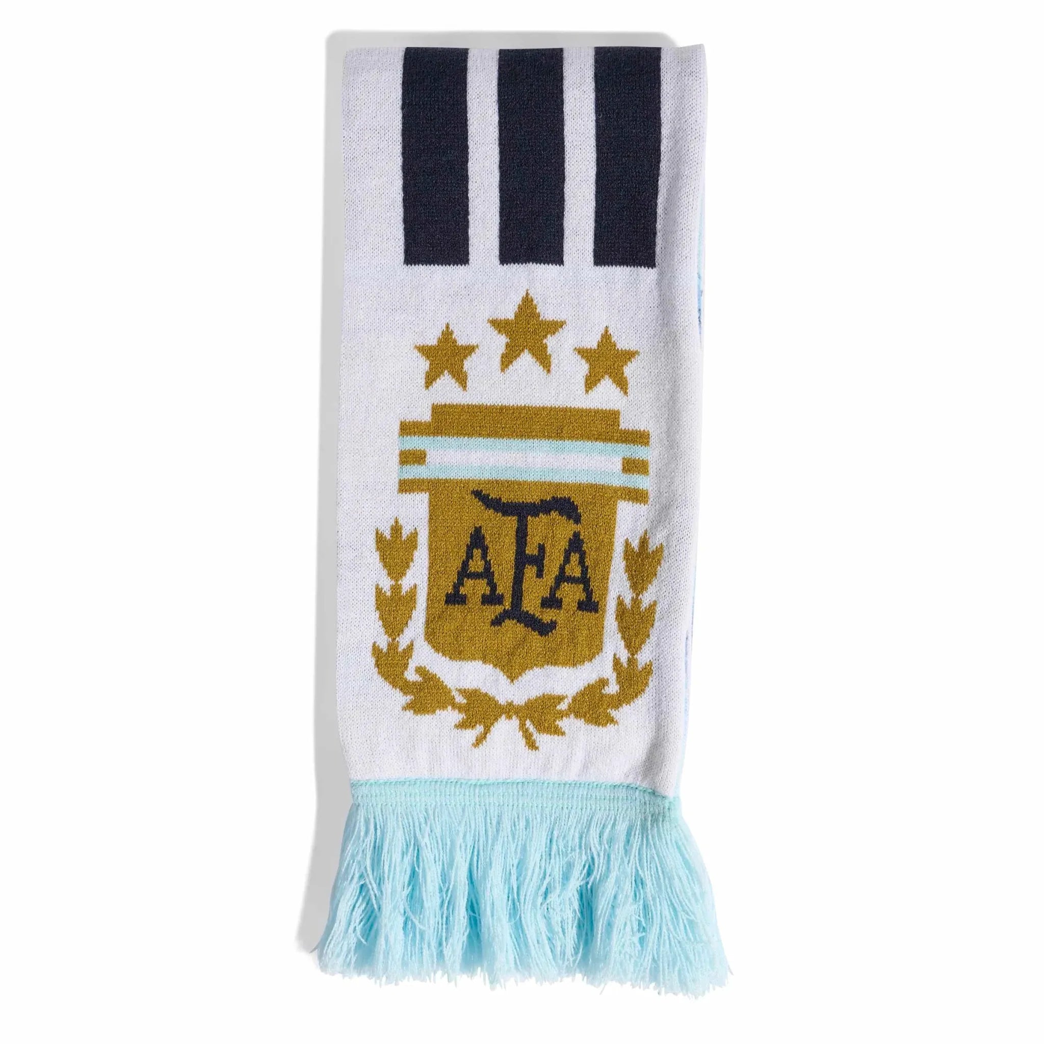 Argentina 2026 Scarf