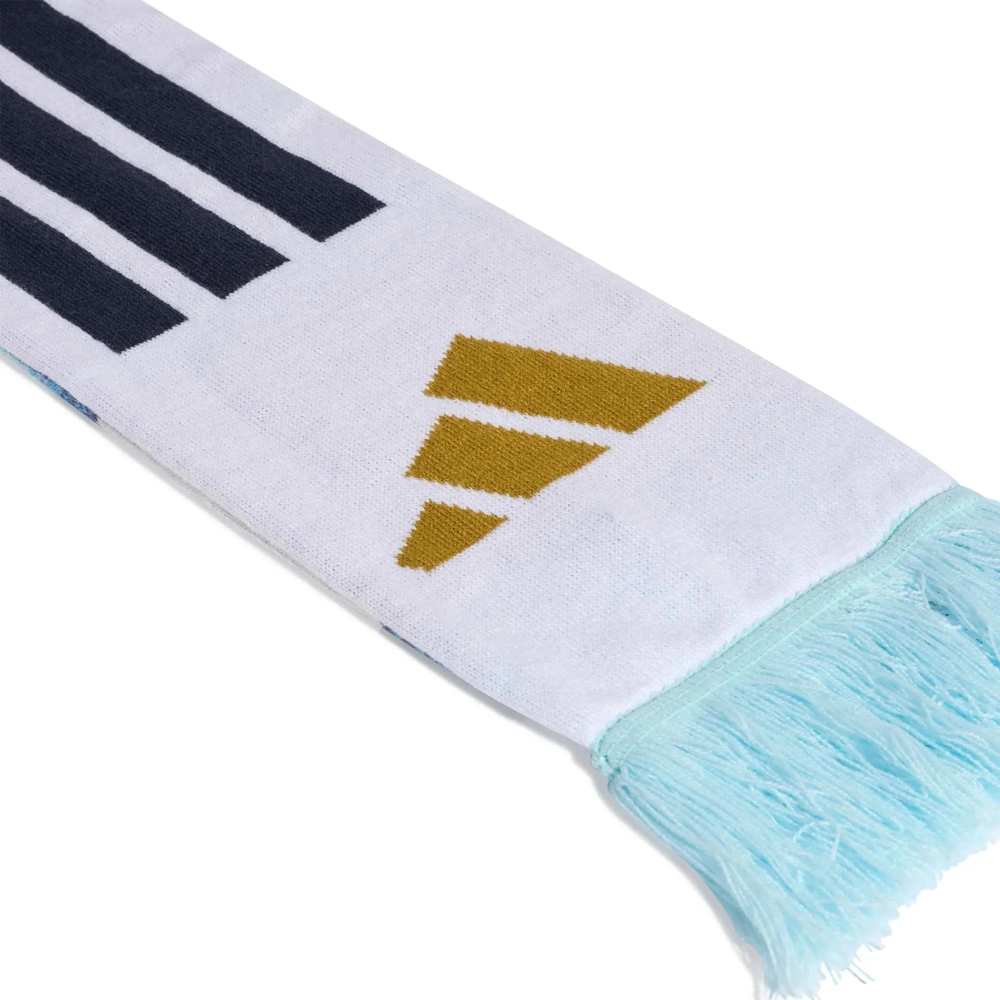 Argentina 2026 Scarf
