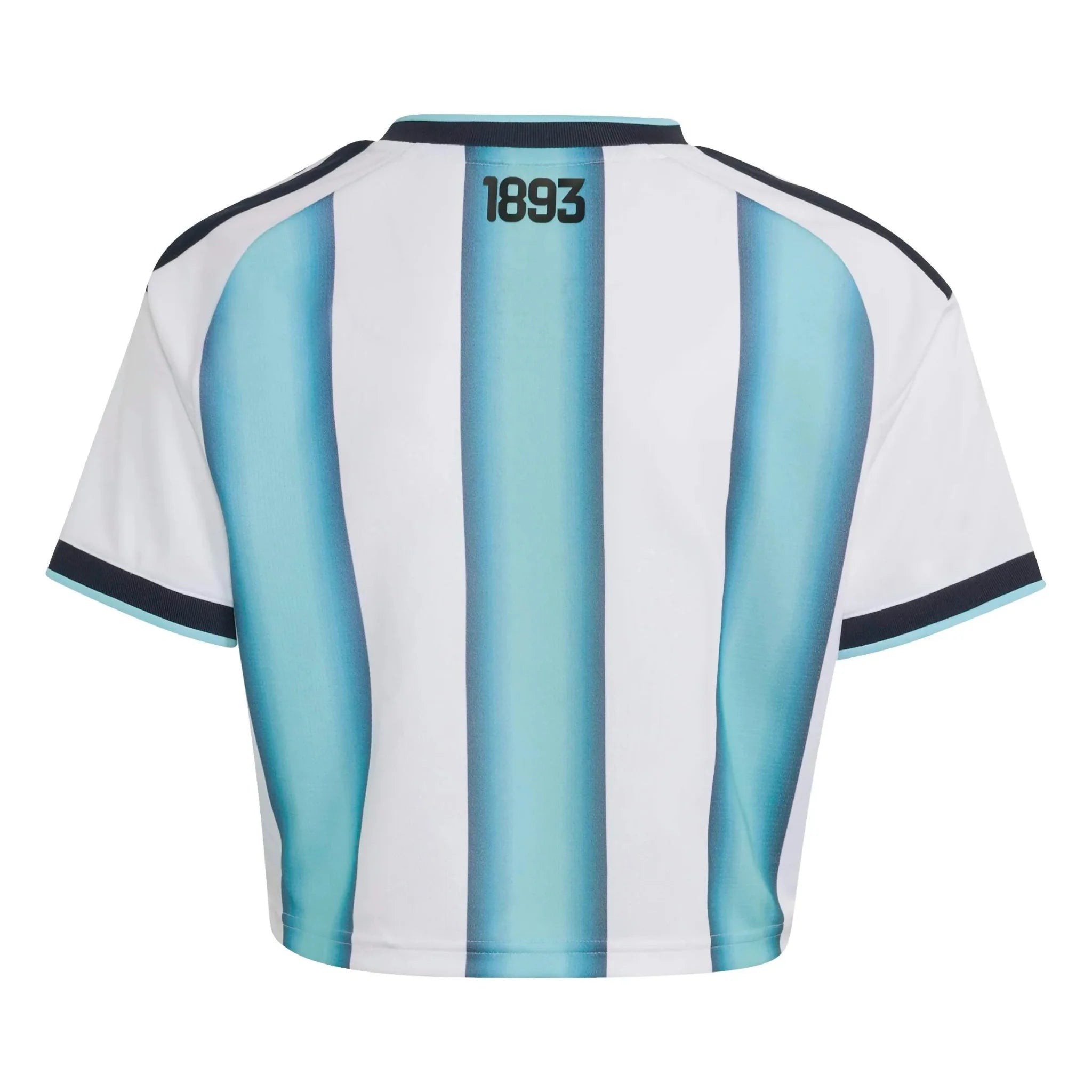 Argentina 2026 Women's Stadium Home Cropped Soccer Jersey