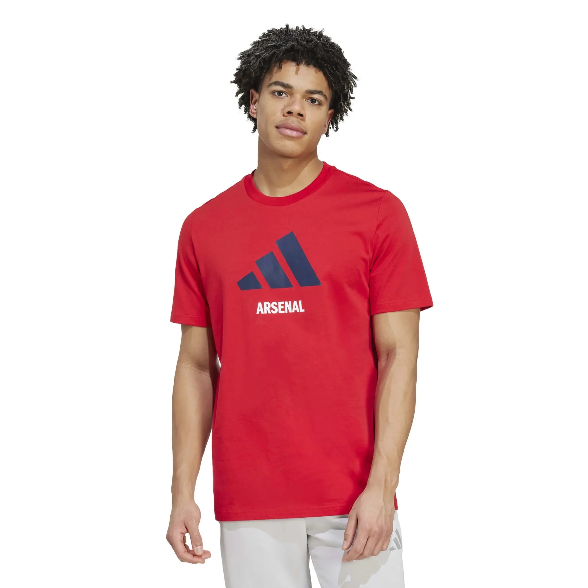 Arsenal 2025-26 Men's Seasonal Graphic Tee