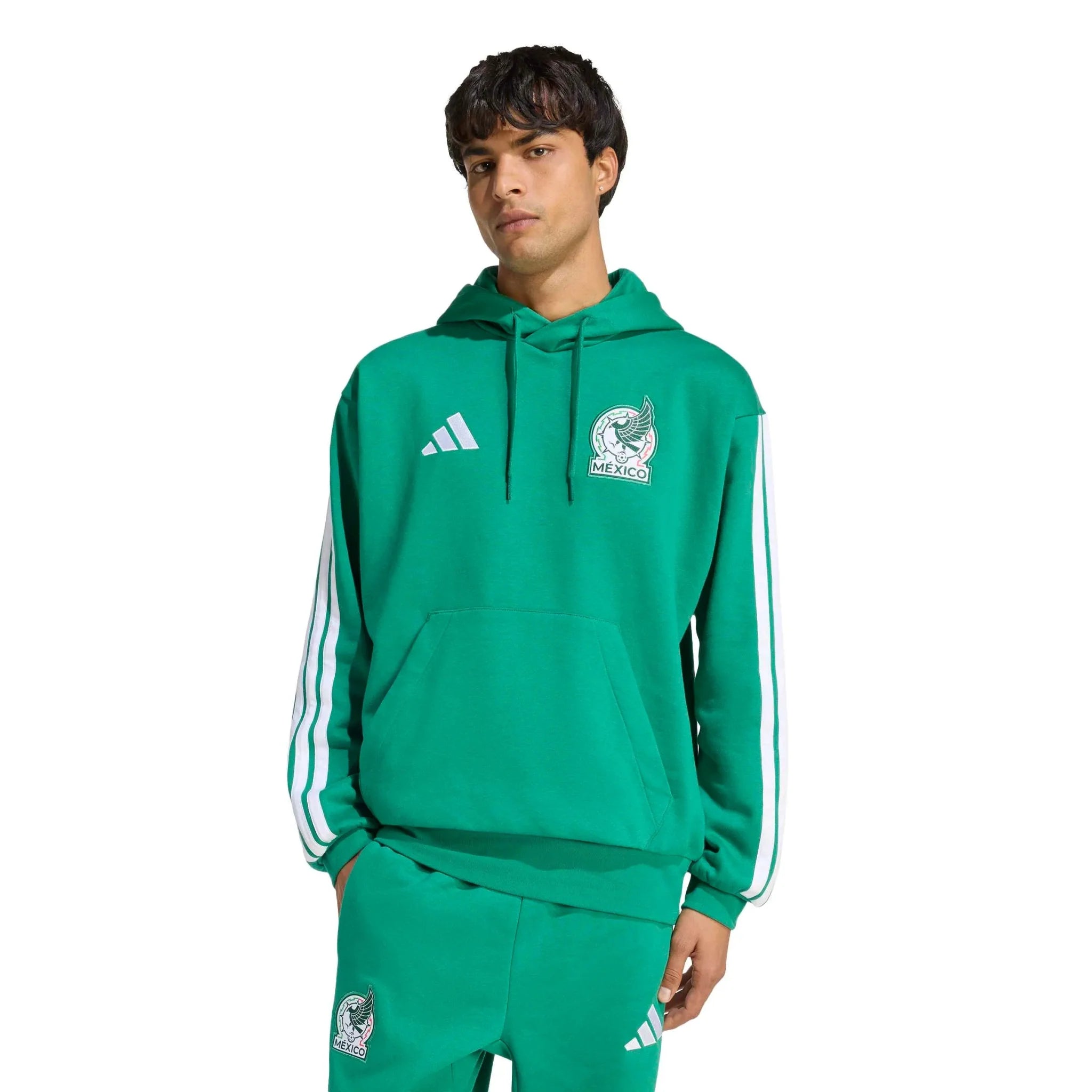 Mexico 2026 Men's DNA Hoodie